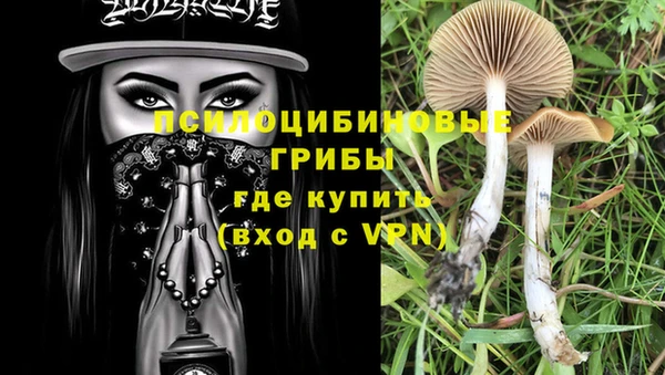 бошки Сатка