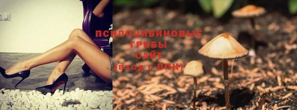 прущая мука Баксан