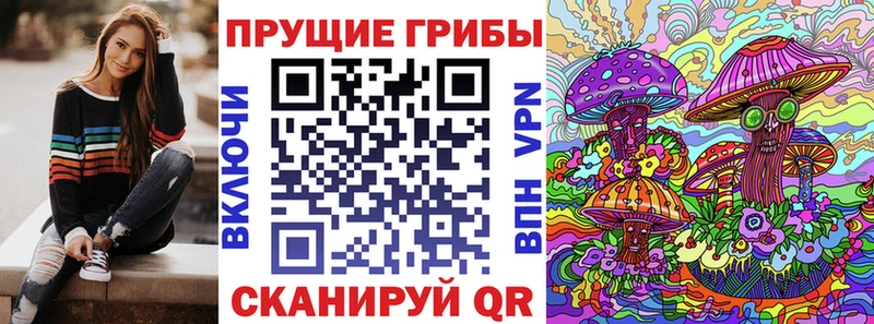 Галлюциногенные грибы Cubensis  хочу наркоту  Гагарин 